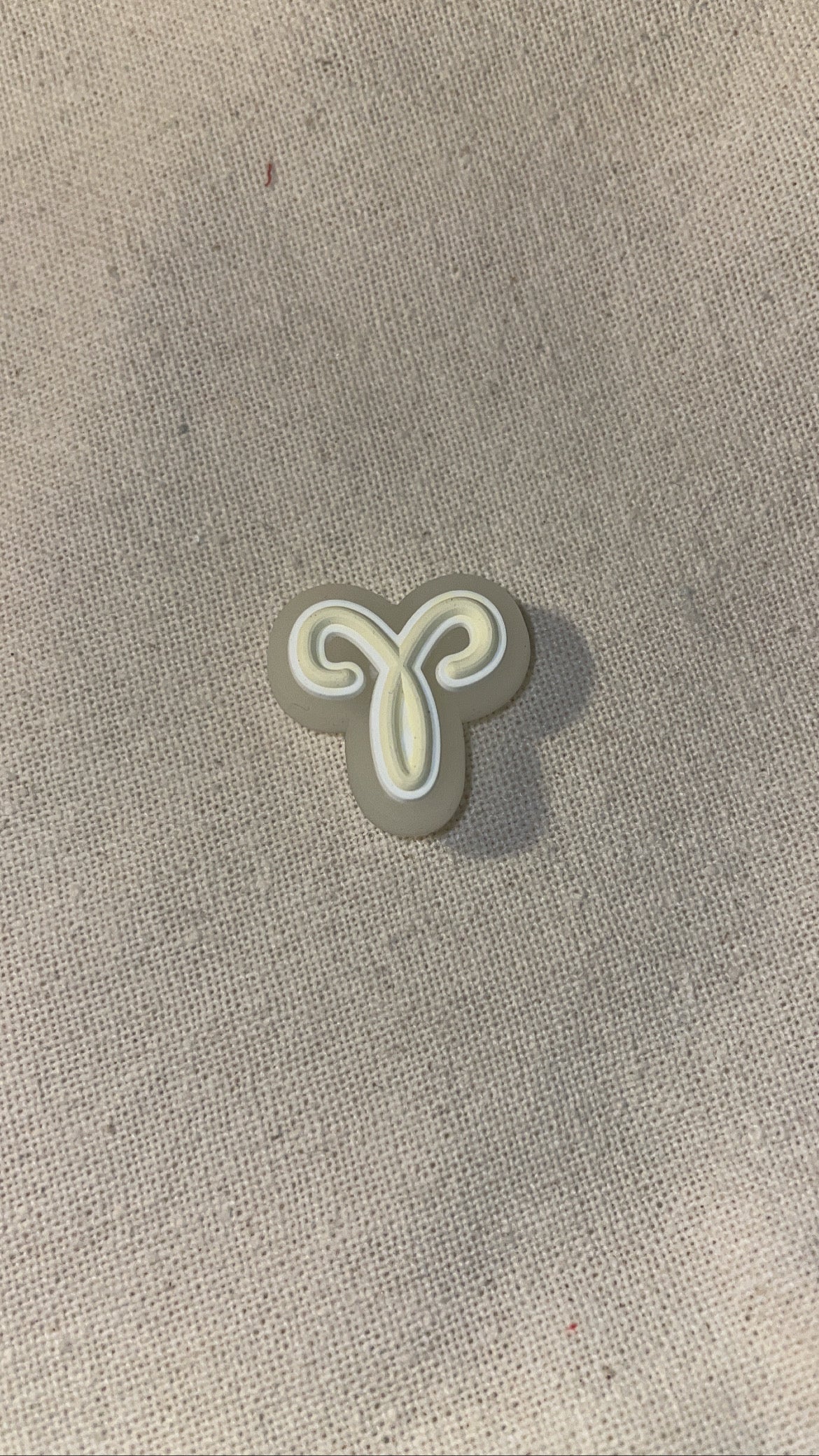 Zodiac Shoe Charms